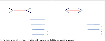 An example for a physiological fiction is an afterimage. Ingoing Versus Outgoing Wings The Muller Lyer And The Mirrored Triangle Illusion Semantic Scholar