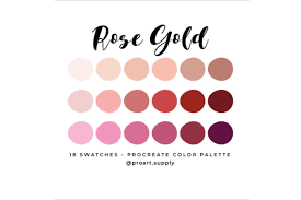 We may earn commission on some of the items you ch. Rose Gold Procreate Color Palette Brushespack