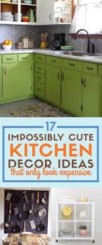 17 Impossibly Easy Kitchen Diys That Only Look Expensive Diy Kitchen Kitchen Design Diy Diy Kitchen Projects