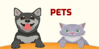 Ingilizce Evcil Hayvanlar Pets Resimli Sesli Oyunlu
