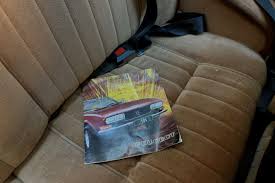 Image result for Brown Squirrel 2014 Peugeot