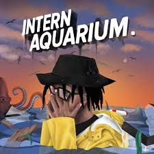 Intern Aquarium By Khary