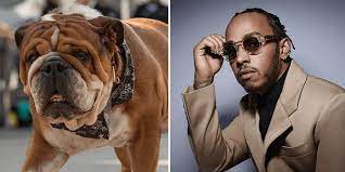 Lewis hamilton is the proud owner of two british bulldogs. Lewis Hamilton Says His Dog Roscoe Is Now Fully Vegan And Super Happy Totally Vegan Buzz