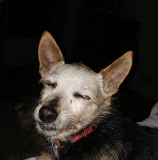 Dealing with LVAD complications and emotional struggles?