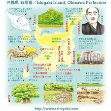 沖縄県石垣島イラストマップ イラストマップ 石垣島 観光マップ