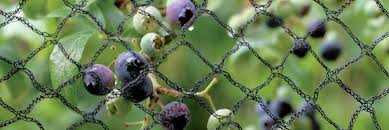 Ski field protection netting/knotted sport fence netting material: Blog Types Of Garden Netting