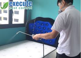 Let's bring you to the right pro! Execute Pest Control We Provide The Best Bugs Treatment In Singapore Execute Pest Control