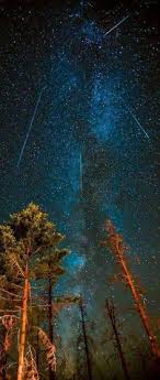 Perseid Meteor Shower Wallpaper Backgrounds Cool Night Skies Nature Beautiful Nature