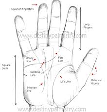 Hands Of A Millionaire In Palmistry Palm Reading Palmistry Palmistry Reading