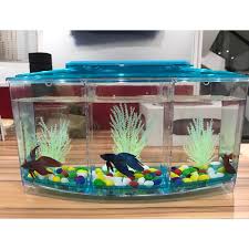Looking for the best betta fish tank? Betta Fish Tank