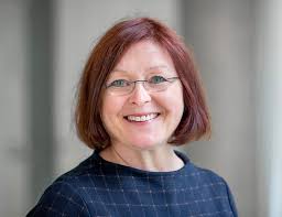 Gynäkologie und Geburtshilfe: Team