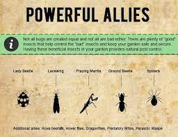 Dealing with mice, ants, ticks, gnats, or any of the other pests that roam our home and yards is never a pleasant task. Infographic How To Protect Your Garden With Organic Pest Control Methods