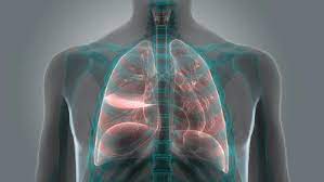 It is also the rarest type of asbestos … How Much Is The Average Mesothelioma Settlement Lung Cancer Lawsuit Lawyers Pintas Mullins Law Firm