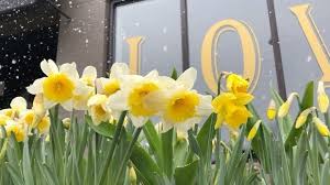 We did not find results for: Sage Green Flowers Events Home Facebook