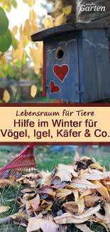 Tieren Im Winter Helfen Mdr Garten Garten Pflanzen
