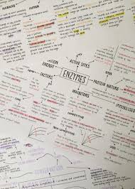 However, how do you apply an effective revision technique to revision cards, simply buying them and writing on them isn't necessarily going to be effective. Revision Techniques Tips And Tricks Whitelines