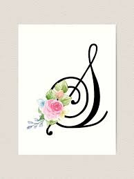 We offer an excellent range of plants of show auriculas raised from cuttings. Floral Monogram Fancy Script Letter S Art Print By Grafixmom Redbubble