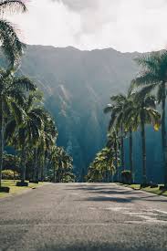 440 1980x1080 stock video clips in 4k and hd for creative projects. Hawaii Wallpapers Free Hd Download 500 Hq Unsplash