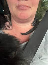 Our Life Adventures added a new photo.