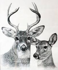 Black And White Deer Printable Drawing Print Gallery Wood Burning Patterns Wood Burning Art Wood Burning Stencils