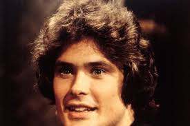 Image result for hasselhoff