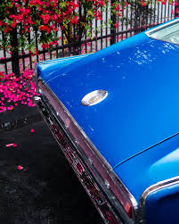 Image result for Dark Blue 1967 Dodge