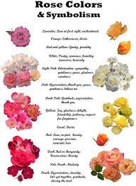 We did not find results for: How To Make Choice For Flower Bouquets For Different Occasion Of Gifting