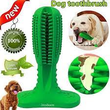 Dog Toothbrush Chew Toy Jresboen Dog Best Petsep Com Dog Toothbrush Dog Teeth Cleaning Brushing Teeth