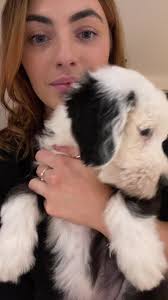 Fred and Wilma Dancing