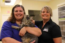 Local Vet Living Childhood Dream After Securing Business Loan