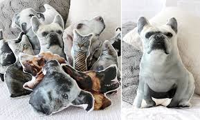 Make It Pet Pillows From A Pic Of Your Pet Animal Pillows Diy Dog Pillow Diy Stuffed Animals