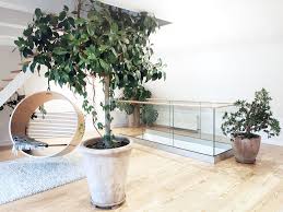 Großverkauf innen geländer aus china innen geländer großhändler über großverkauf, großverkauf und mehr bei alibaba.com. Glasgelander Im Innenraum Massgefertigt Fur Sie Gelanderladen