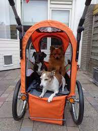 innopet sporty trailer fahrradanhanger fur hunde hundebuggy in nordrhein westfalen castrop rauxel ebay klein fahrradanhanger hund fahrradanhanger fahrrad