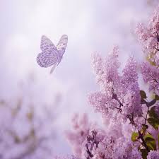 Relaxing Piano Music 89 30 Minutes Soothing Relaxation