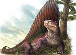 Image result for Dimetrodon