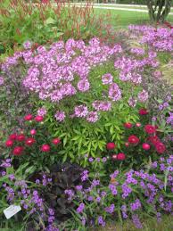 Blumenbeet Park Der Garten