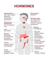 Pin On Healthy Eating Health Tips