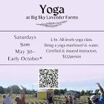 YOGA at Big Sky Lavender Farms