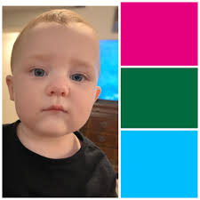 Please help! What color should she be registered as?