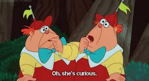 Check spelling or type a new query. Tweedle Twins Explore Tumblr Posts And Blogs Tumgir