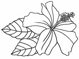 Hibiscus Flower Printable Coloring Sheets Floriculture Estampados Zentangle Imagenes De Flores Patrones