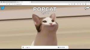 Nov 24, 2020 · the perfect pop cat animated gif for your conversation. Pop Cat Know Your Meme