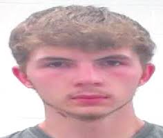 YES, That's A Bear Spotted In Wayne County