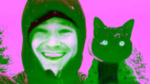 Adventure cat: Man goes viral for taking pet