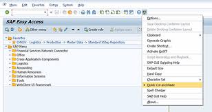 How do you cut and paste without using the mouse? Quick Copy Cut Paste Tip Using Sap Ctrl Y