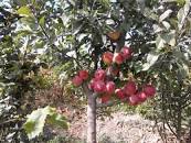 نتیجه تصویری برای لیوانی ک توش آب خوردی رو به یادگار دارم