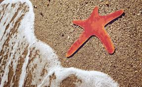 Lundbeck us | 10,653 followers on linkedin | we are tirelessly dedicated to restoring brain health so every person can be their best. Service