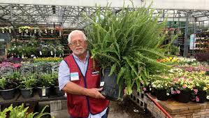 We did not find results for: Best Plants For Your Porch And Patio That You Almost Can T Kill