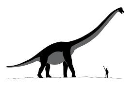Dinosaur Puertasaurus Computer Generated 3D Illustration Stock Illustration  120499936 | Shutterstock