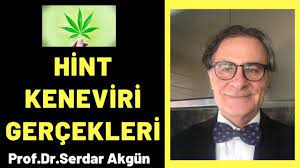 prof dr serdar akgun panosundaki pin
